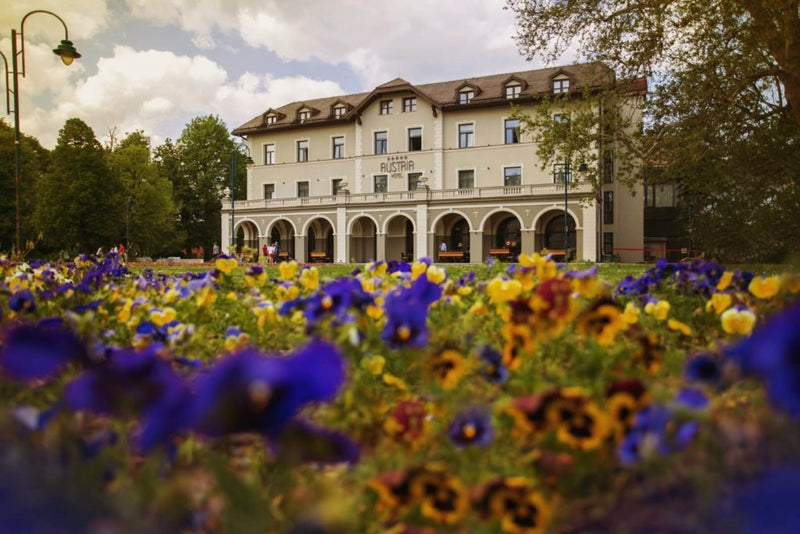 NOVO: Lječilište Banja Terme Ilidža (10 dana) - garantiran polazak