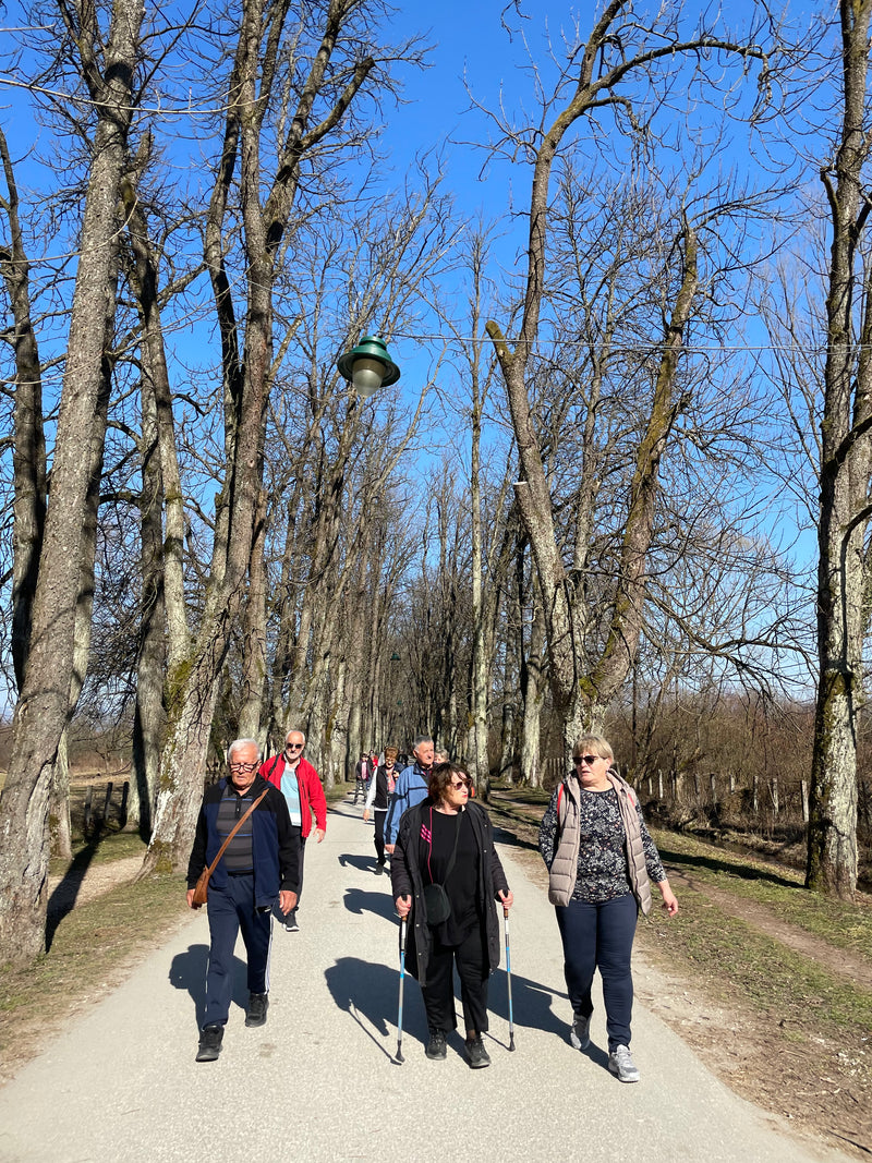 Lječilište Banja Terme Ilidža (10 dana)